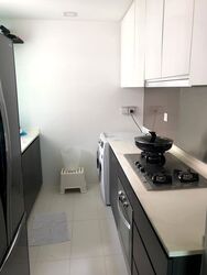 Esparina Residences (D19), Condominium #568428081
